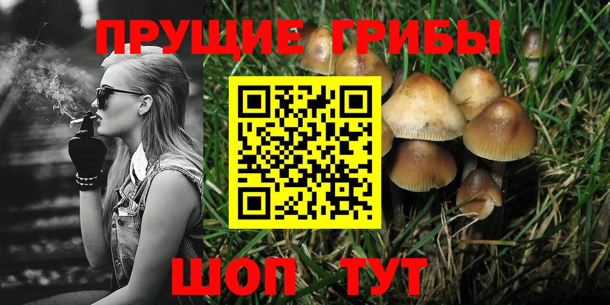 Галлюциногенные грибы мицелий Шахты