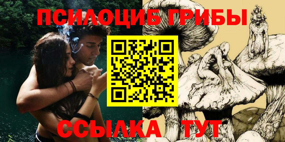 Галлюциногенные грибы Psilocybe  закладки  Шахты  Вход с VPN 